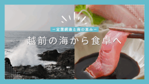 越前の海から食卓へー定置網漁と海の恵みー