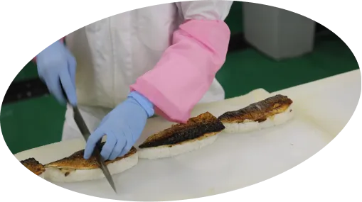 採用情報