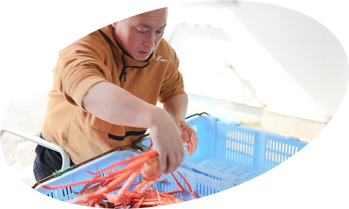 採用情報