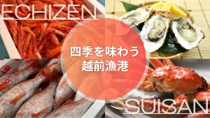 四季を味わう越前漁港