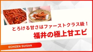 とろける甘さはファーストクラス級！福井の極上甘エビ