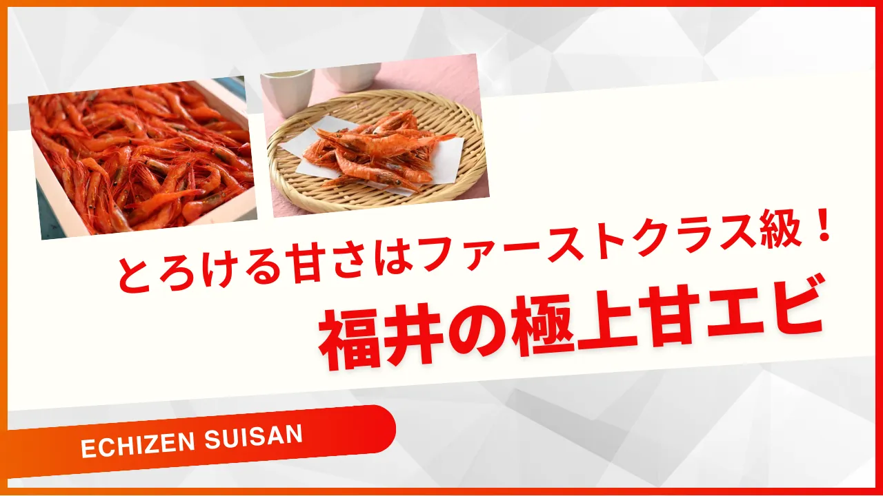 とろける甘さはファーストクラス級！福井の極上甘エビ