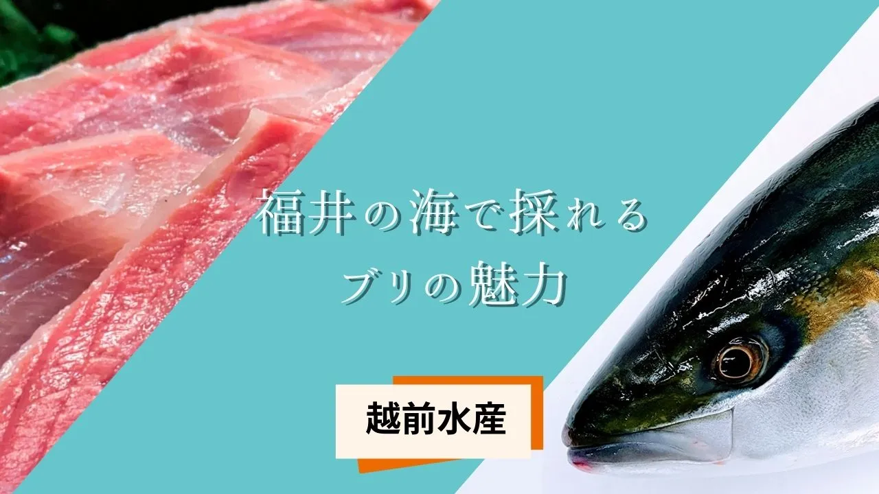 echizensuisanburi