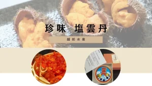 【福井の海の宝石】珍味「塩雲丹」の魅力と日本三大珍味の歴史