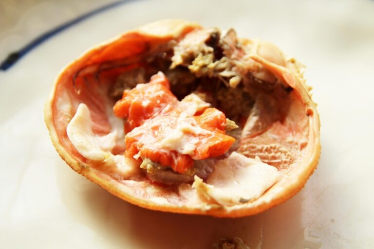 【贅沢三重奏】セイコガニの内子・外子・味噌を徹底解説！おすすめの食べ方もご紹介 - 株式会社越前水産