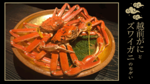 【保存版】越前がにとズワイガニの違い｜見分け方と本場の選び方
