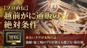 地元漁師に聞く！越前がにのタグの意味とブランド力の秘密