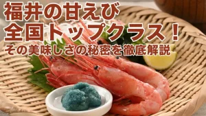 【赤い宝石】福井の甘えびが全国トップクラスで美味しい理由