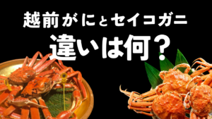 あなたは知ってる？越前がにとセイコガニの違い