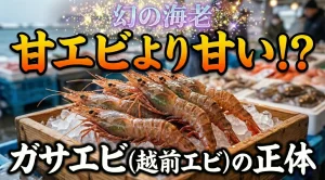 【幻の海老】甘エビより甘い！？福井県民が愛してやまない「ガサエビ（越前エビ）」の正体