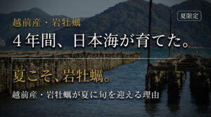 「牡蠣は冬」という常識が崩れる夏。越前の岩牡蠣が、真牡蠣を超えると言われる本当の理由。