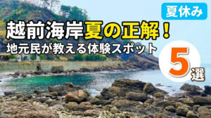 夏休みは、海を眺めるだけじゃもったいない！越前海岸で「体験する夏」を作る5つの過ごし方。