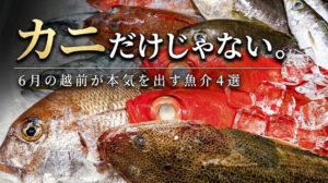 「カニの福井」だけじゃない。6月の越前海岸が、本気で旨い4つの魚たち。