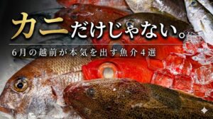 「カニの福井」だけじゃない。6月の越前海岸が、本気で旨い4つの魚たち。