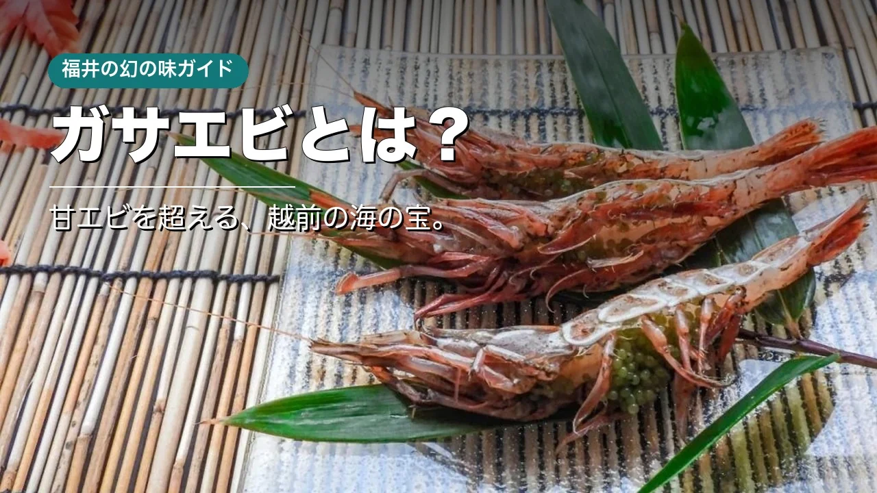ガサエビとは｜甘エビを超える福井の幻の味