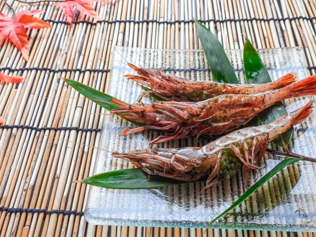 ガサエビ(越前エビ)の姿