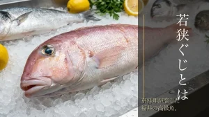 若狭ぐじとは｜京料理が恋した福井の高級魚（アマダイ）の正体